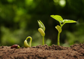 Semana de campo 2