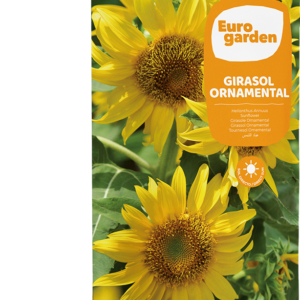 Girasol Ornamental