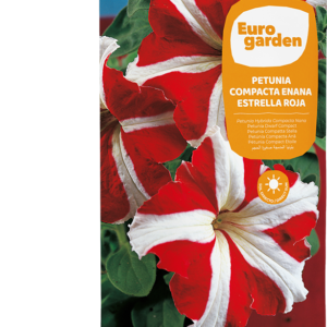 Petunia Compacta Enana Estrella