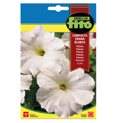 Petunia Hib. Compacta Enana Blanca